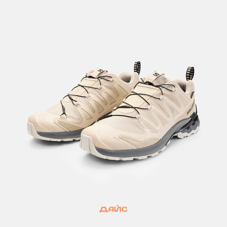 Кроссовки Salomon XA PRO 3D V9 GTX 