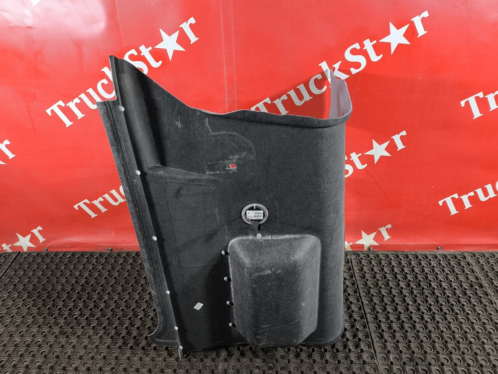 Обшивка потолка левая 2020г.