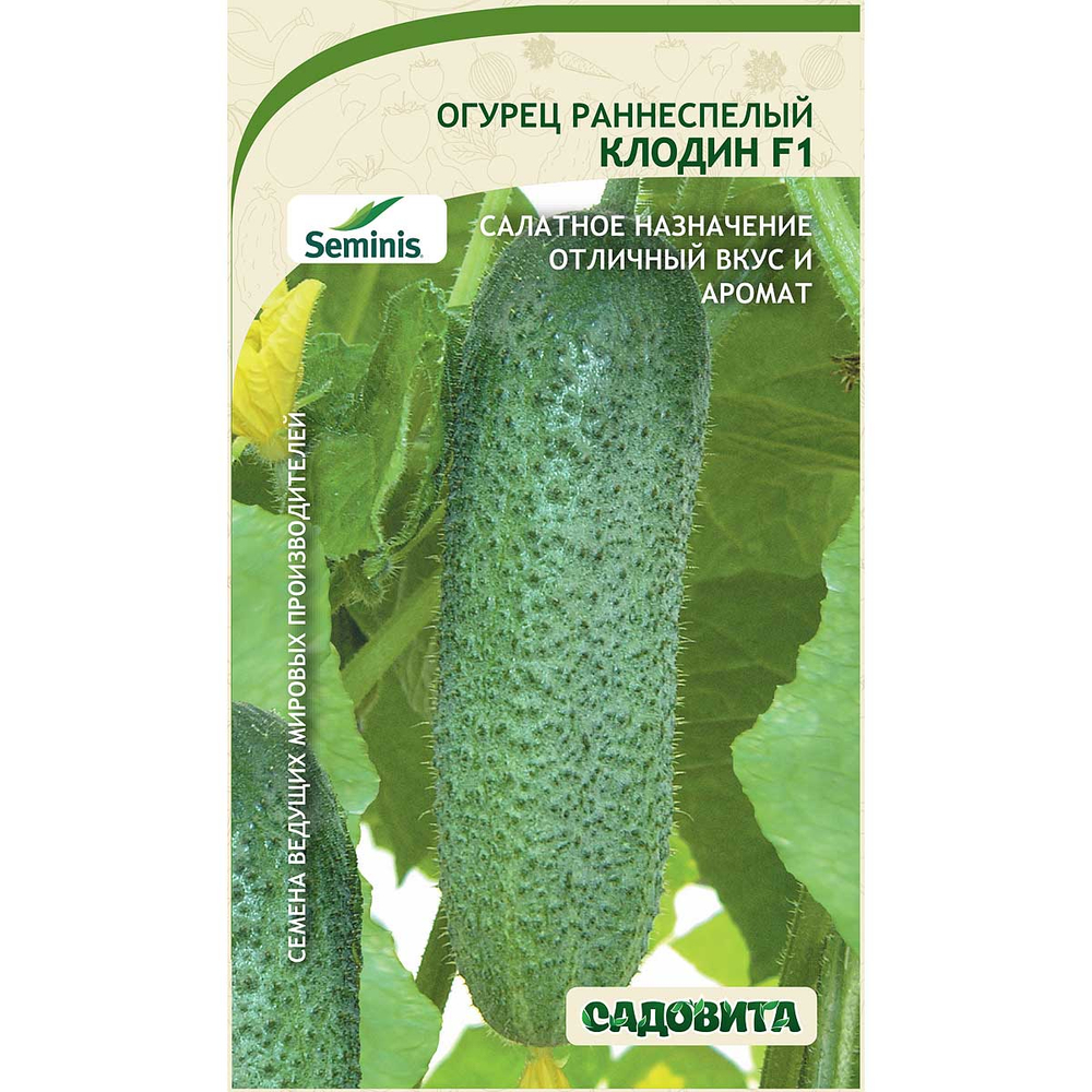 Огурец Клодин , Красавчик Хикмет 70=