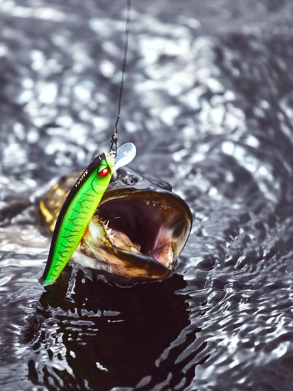 Воблеры сусп. LJ Pro Series BASARA SP 05.60/025SET 6шт. набор