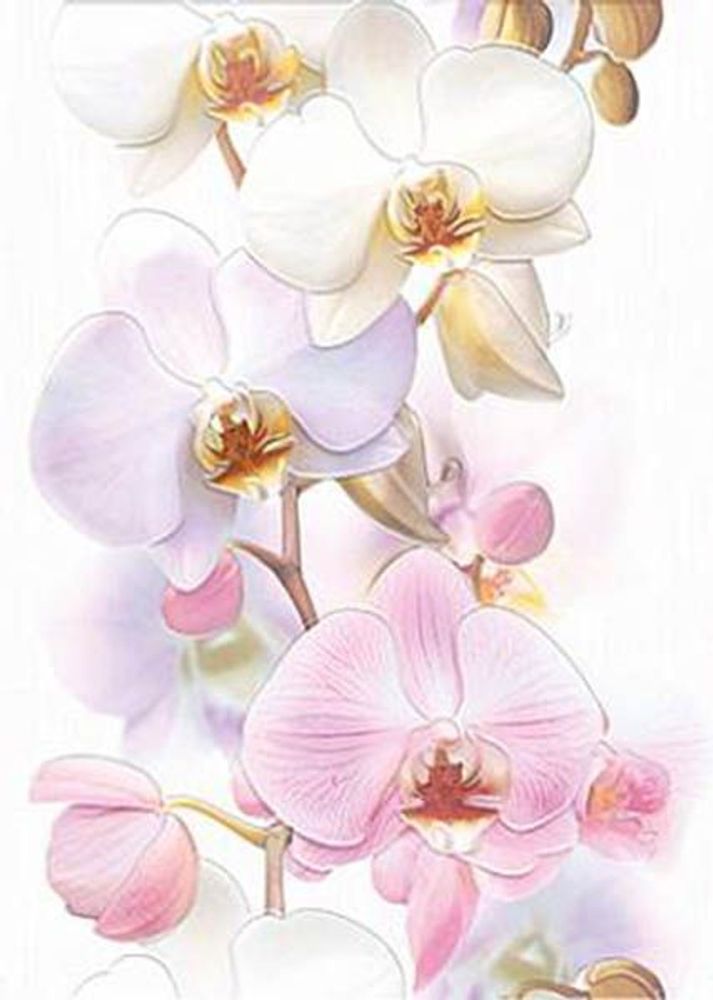 Декор Tropicana Orchids (TC2M051DT)