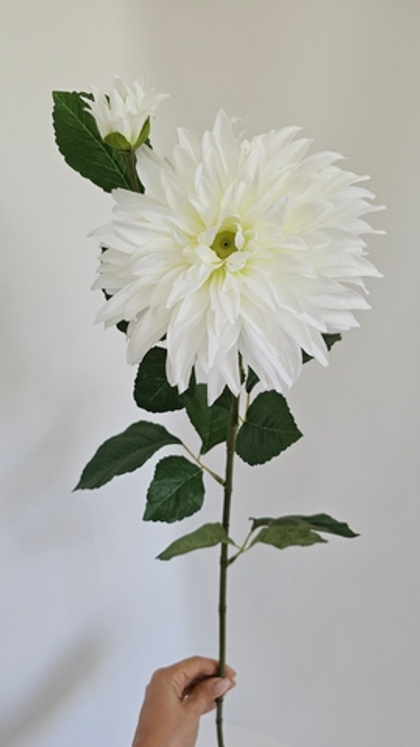 Георгин / Арт 2281