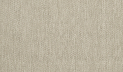 Шенилл Мейн 01