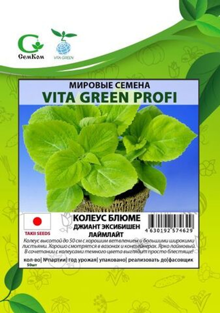 Колеус Блюме Джиант Эксибишен Лаймлайт (50шт) Витагрин Профи