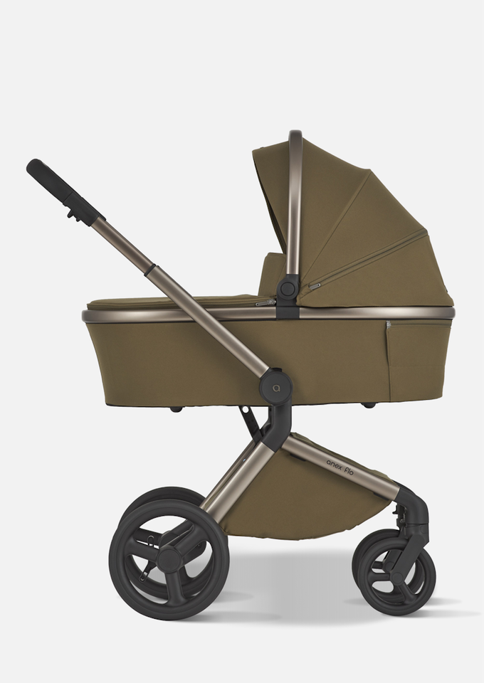 Anex Детская коляска Flo 2 в 1 Astra