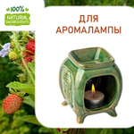 Лесные ягоды, отдушка для свечей и мыла