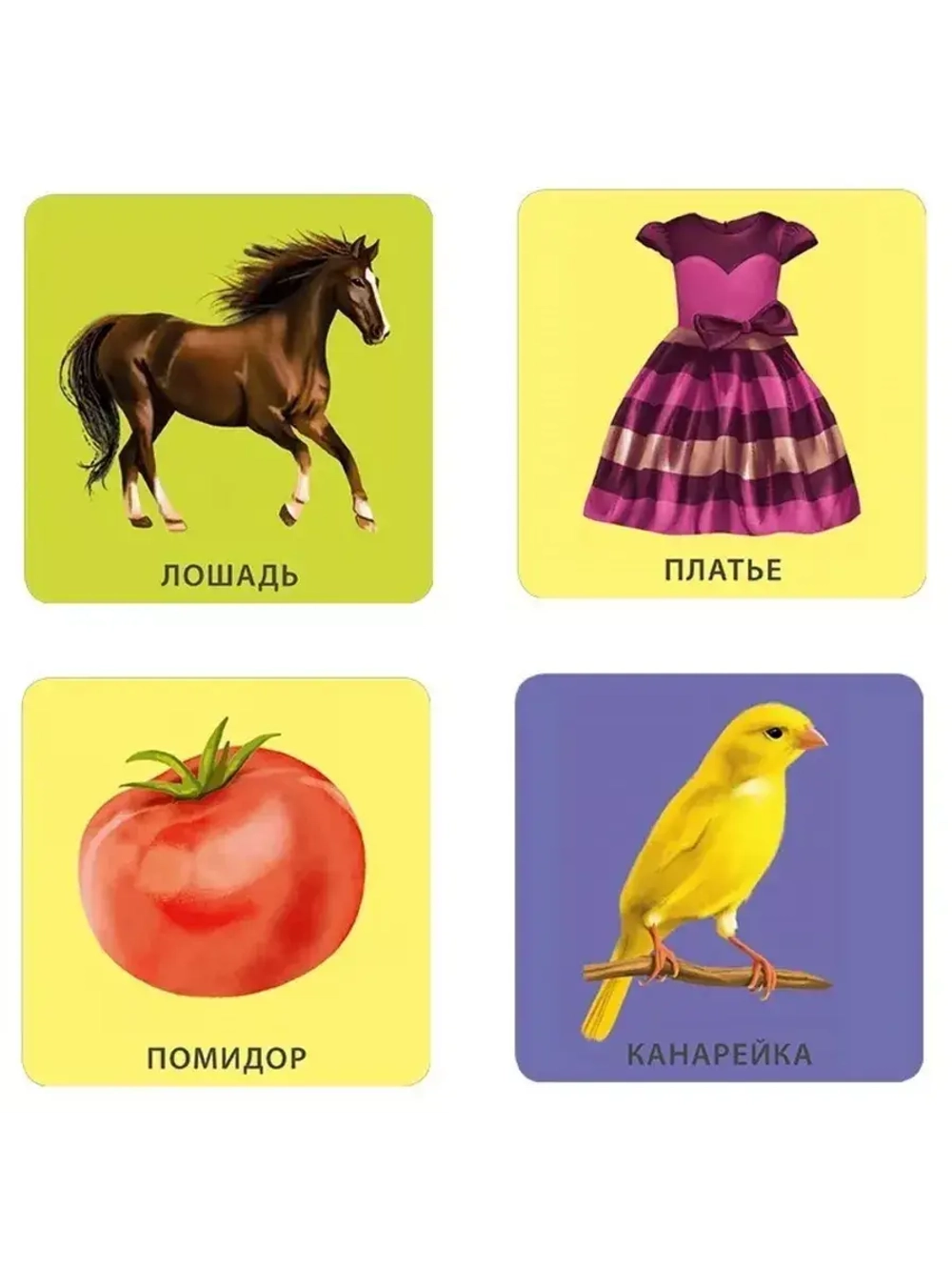Начинаю говорить Мои первые слова и картинки