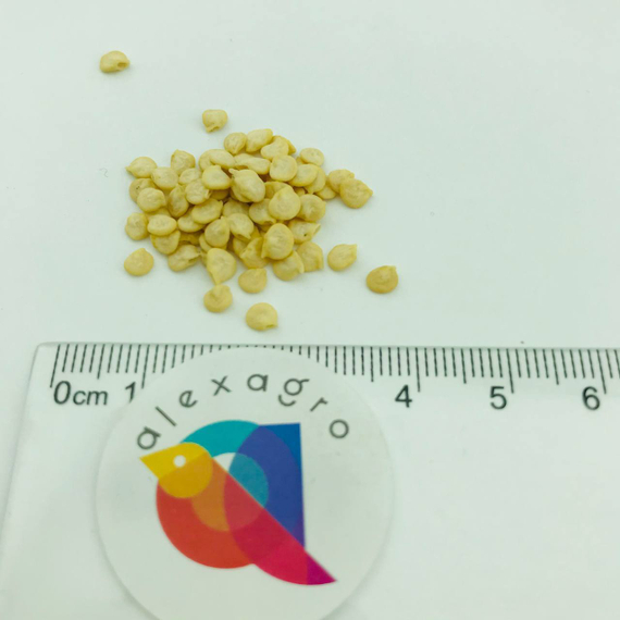 ЛЮБОВЬ F1 семена перца сладкого Syngenta отзывы – фото 4