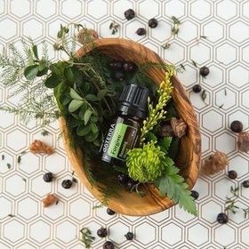 «Прощение» обновляющая смесь эфирных масел, doTERRA Forgive, 5 мл