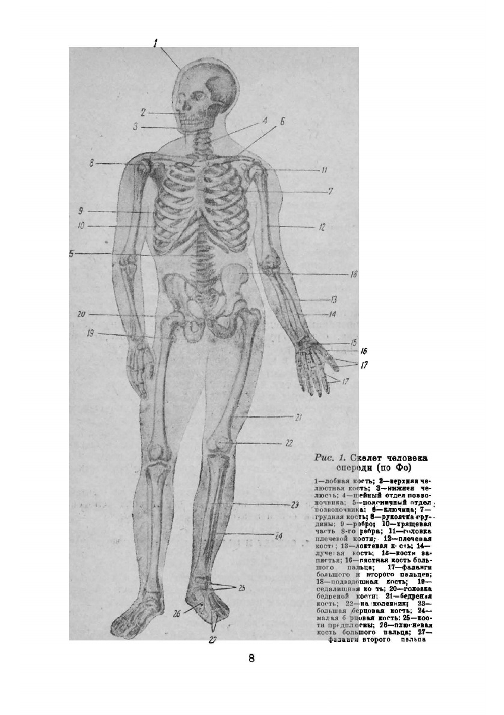 Конструирование одежды | Коротков Сергей Никифорович
