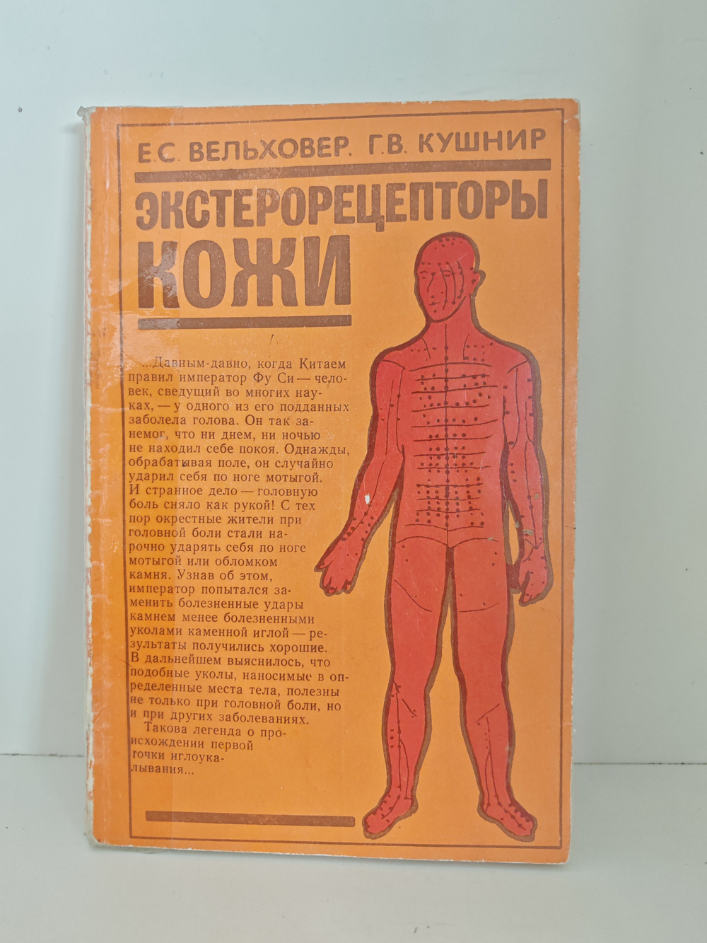 Экстерорецепторы кожи (Некоторые вопросы локальной диагностики и терапии)
