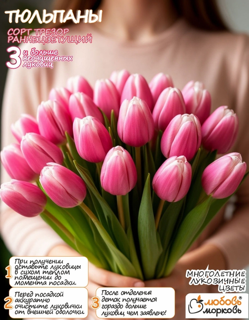 Тюльпан Луковица, Трезор, 3+ шт