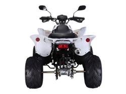 Квадроцикл RATO RТ250SТ-2