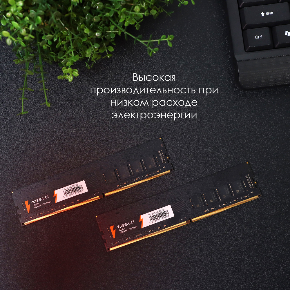 Память TESLA DDR4 DIMM 16Гб, 2666МГц, CL19, Retail, 1.2В (TSLD4-2666-CL19-16G)
