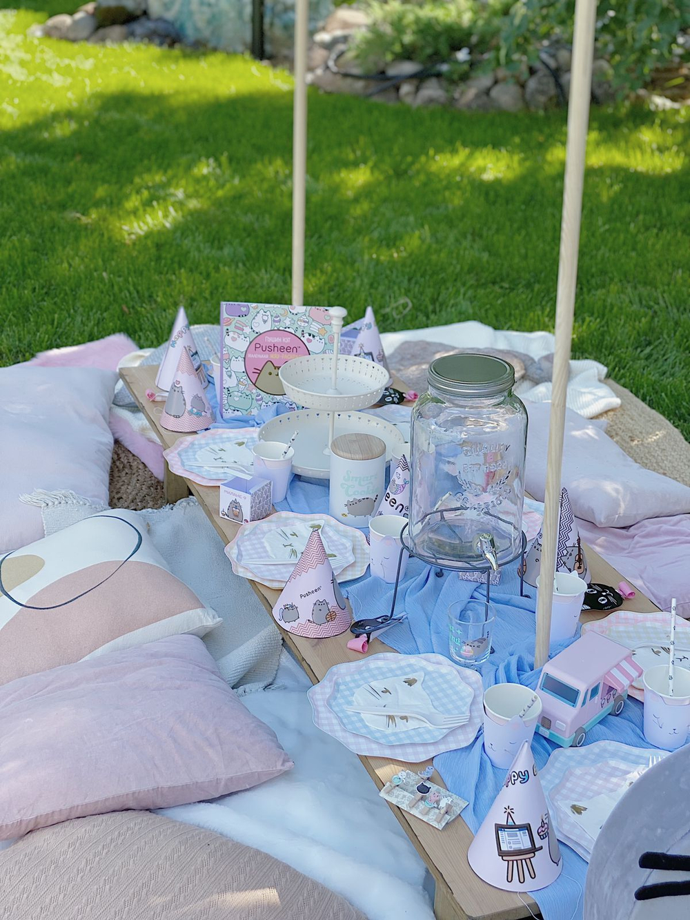 Cat Pusheen Party