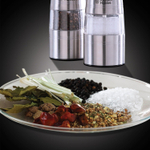 Измельчитель специй электрический Russell Hobbs 23460-56 металл