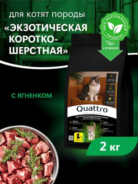 Корм сухой для котят породы Экзотическая короткошёрстная, с ягненком, 2кг, QUATTRO
