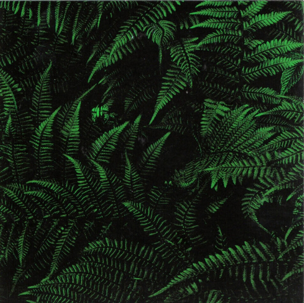 The Ocean Collective / Phanerozoic I: Palaeozoic (Limited Edition)(2CD+DVD)