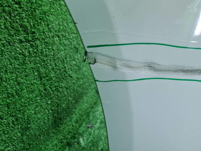 Бампер передний BMW 7er G11 (2015-2019) M-paket