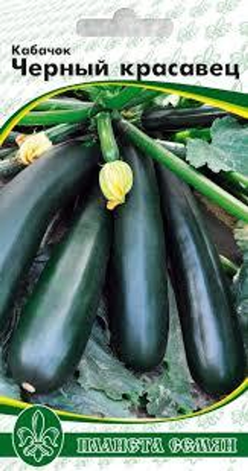 Кабачок Черный красавец