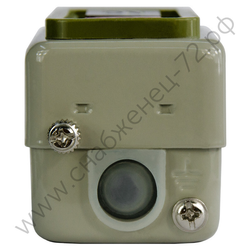 Посты кнопочные Энергия BS