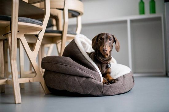 Как почистить лежак кошки или собаки