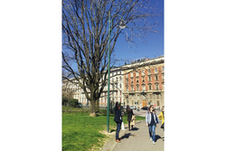 Светильники парковые уличные 30вт 560x450мм