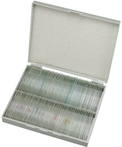 Набор микропрепаратов Bresser 100 шт., в кейсе