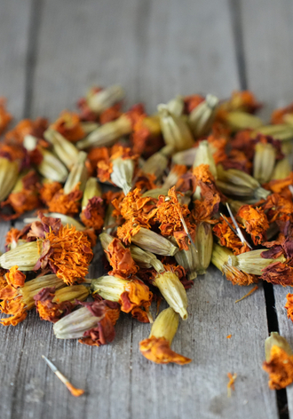 Цветки бархатцев