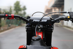 Мотоцикл кроссовый эндуро PROCIDA 2020 PR300