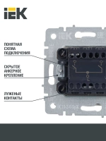 Выключатель двухклавишный Iek BRITE ВС10-2-0-БрЖ