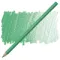 Rəngli karandaş \ Цветные карандаши Faber-Castell Polychromos Pencil - 162 Light Phthalo Green