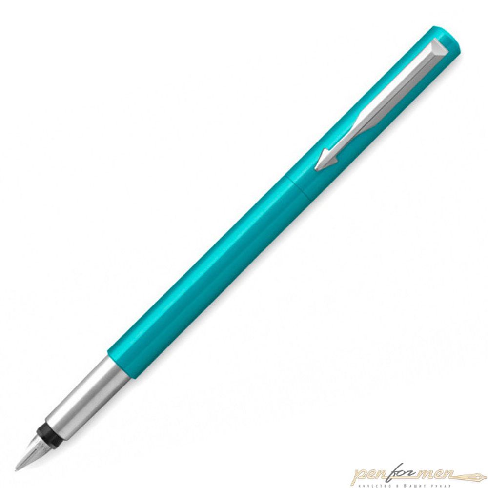 Перьевая ручка Parker Vector Standard F01 (2025460)