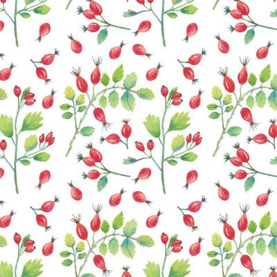 Шиповник и боярышник