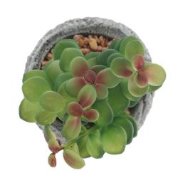 GAEM Цветочная композиция "Суккулент", L11 W11 H12 см