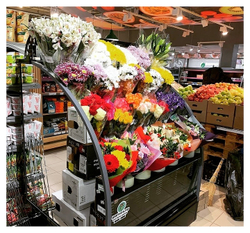 Горка холодильная Lida Stella Flora mini (1000х970х1800 мм)