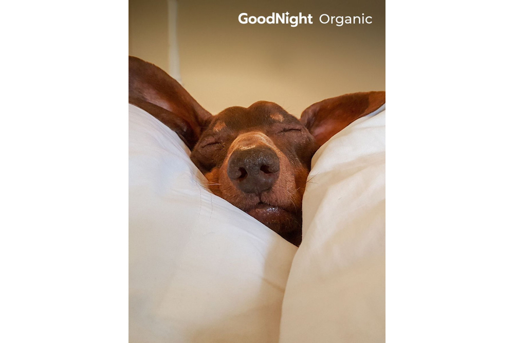 Постельное белье GoodNight Сатин Делюкс 1,5 сп. (с нав. 50х70) лагуна