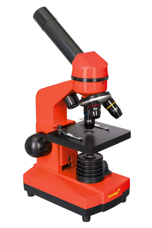 Микроскоп Levenhuk Rainbow 2L Апельсин с набором для опытов Levenhuk K50