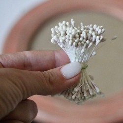 Тычинки для Гортензии средние