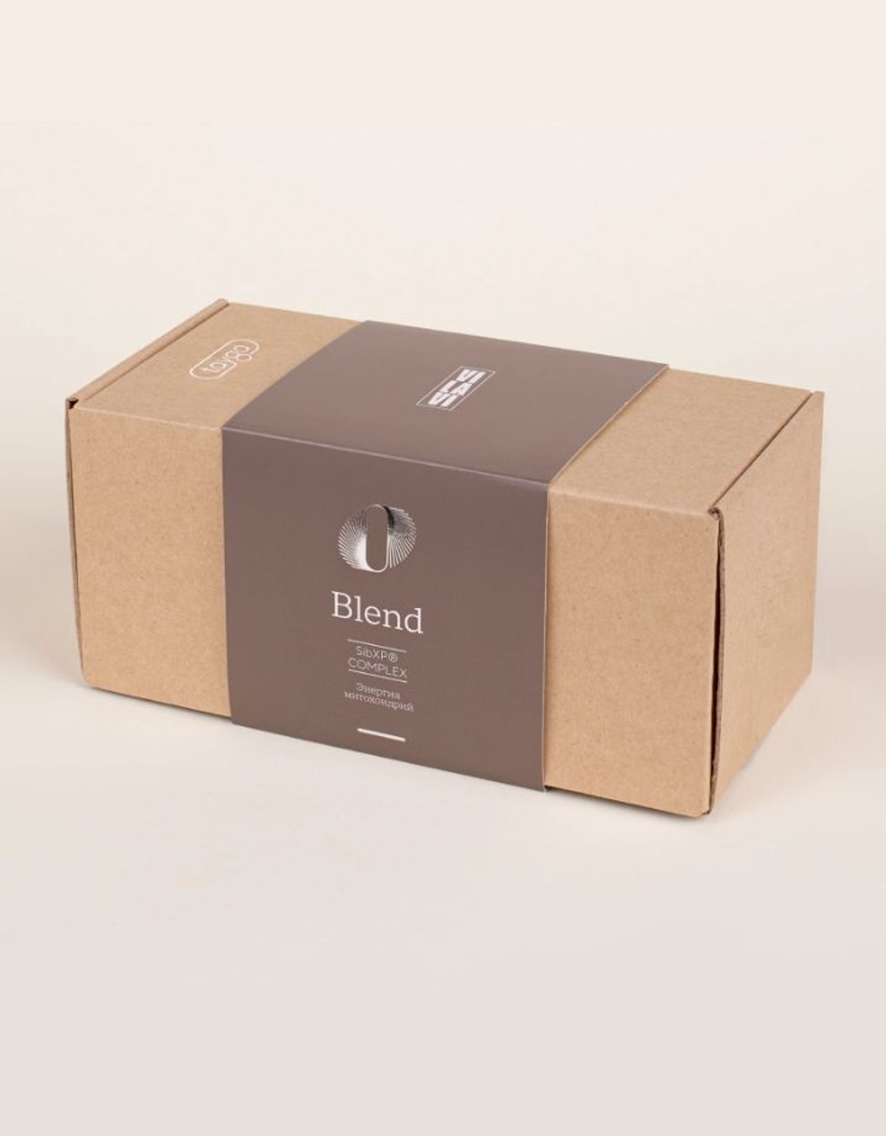 Tayga8 BLEND SibXP Complex.