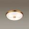 Потолочный светильник Odeon Light Walli Pelow 4956/4