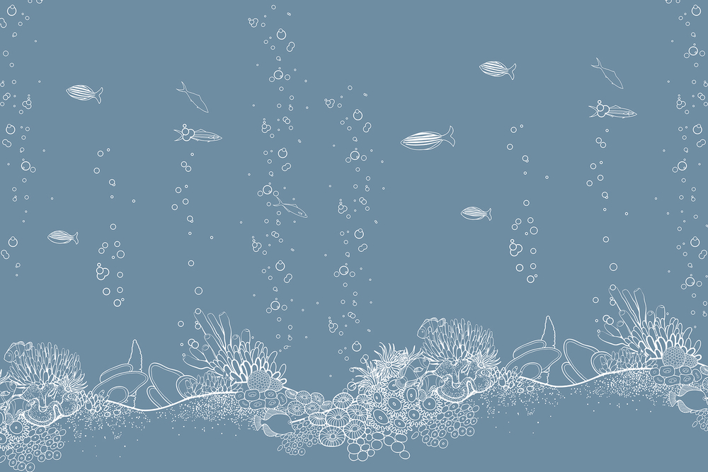 Коллекция BABY WORLD