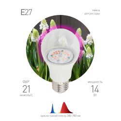 Фитолампа для растений светодиодная ЭРА FITO-14W-RB-E27-K красно-синего спектра 14 Вт Е27