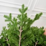 Елка с гирляндой 2в1 «Измайловская» (Литая хвоя) от 2,1 м до 3 м