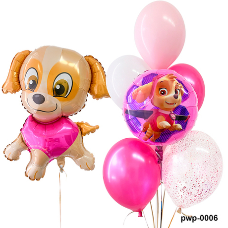 Сеты Щенячий патруль "Скай"