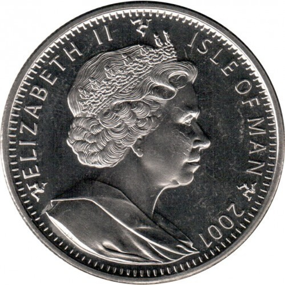 Сомалийская кошка