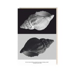 Открытка Life isn’t about finding