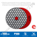 ЗУБР АГШК 100 мм, №100, сухое шлифование, Алмазный гибкий шлифовальный круг (29868-100)