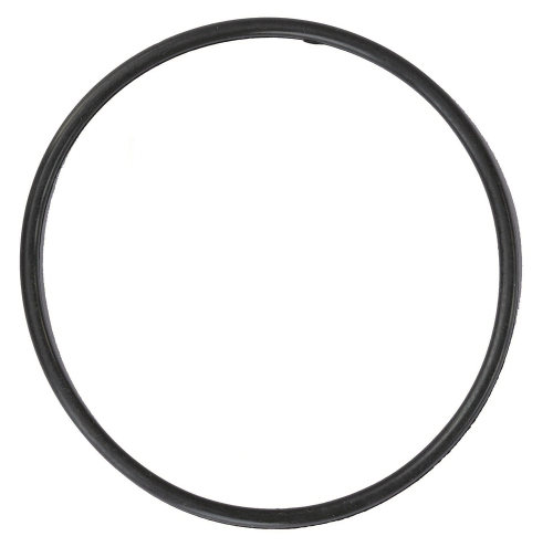 Прокладка для фильтров типа BB синие АкваПро 439