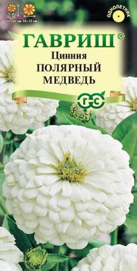 Цинния Полярный медведь